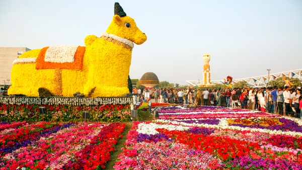 ahmedabad flower show 2025