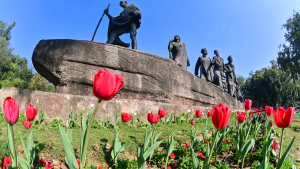 tulip festival delhi