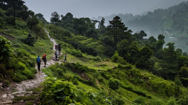 jammu-kashmir trekking stopped