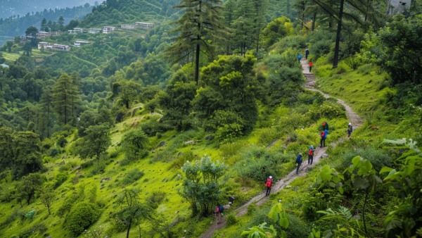 kashmir trekking stopped