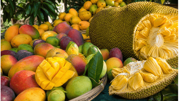 Lalbagh Mango and Jackfruit Mela 2026: Best Varieties, Prices, and Shopping Guide
