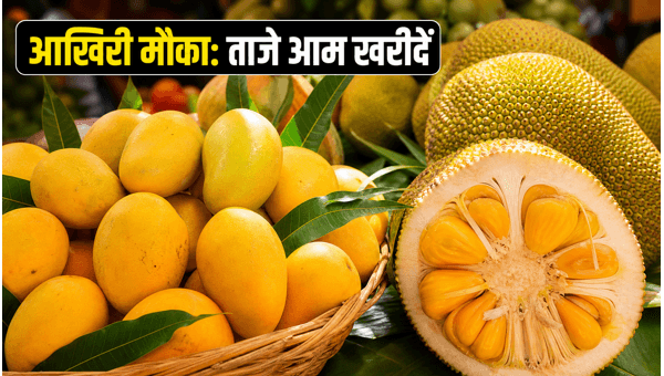 Lalbagh Mango and Jackfruit Fair 2026: Last Chance to Buy Fresh Fruits in Bengaluru