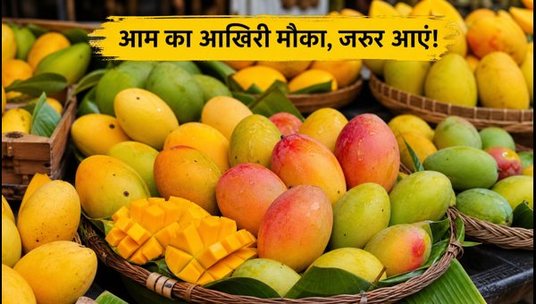 Delhi Mango Festival 2026: Last Chance to Taste Rare Mango Varieties at PSOI Club Chanakyapuri