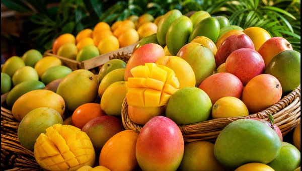 Mango Festival 2026 at Dilli Haat Janakpuri: Explore 500+ Rare Mango Varieties
