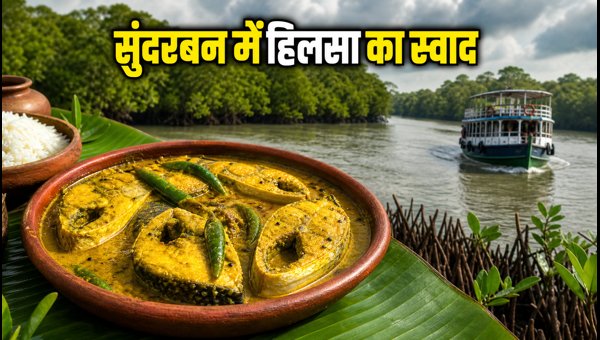 Sundarbans Hilsa Festival Cruise 2026: Experience Monsoon Magic and Authentic Bengali Cuisine Sundarbans Hilsa Festival Cruise 2026: Experience Monsoon Magic and Authentic Bengali Cuisine