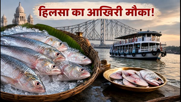 Kolkata Hilsa Fish Guide 2026: Best Restaurants, Market Prices, and Monsoon Dining Tips
