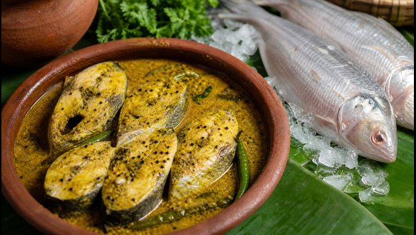 Kolkata Ilish Utsav 2026: Best Places to Enjoy Authentic Hilsa Fish Dishes During Monsoon Season Kolkata Ilish Utsav 2026: Best Places to Enjoy Authentic Hilsa Fish Dishes During Monsoon Season