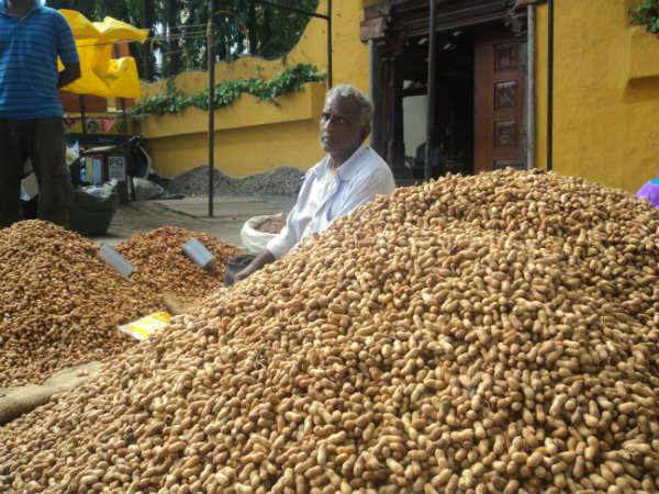 Groundnut Fair 