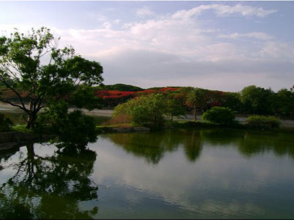 Bangalore for children (and also for the young at heart) 