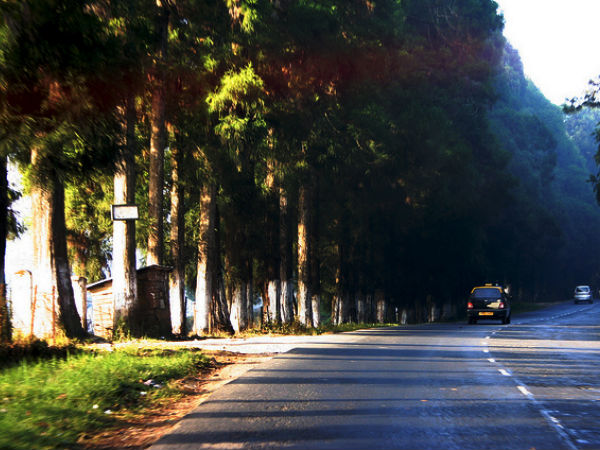 Motrocycle Diaries: 5 Biking Destinations in North India