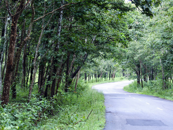 5 Unforgettable Road Trips of India