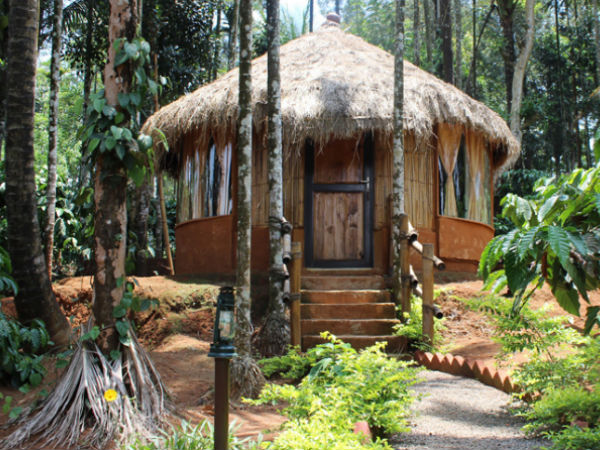 10 Pet Friendly Stay Options in India