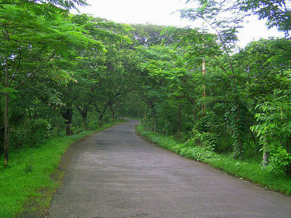 Travel to the 5 Picnic Spots In and Around Mumbai