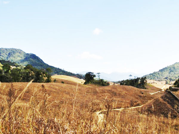 Buning (N-piulong) Meadow