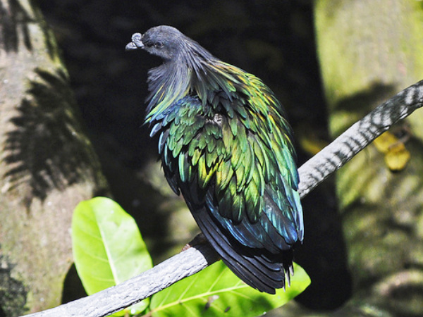 Galathea National Park