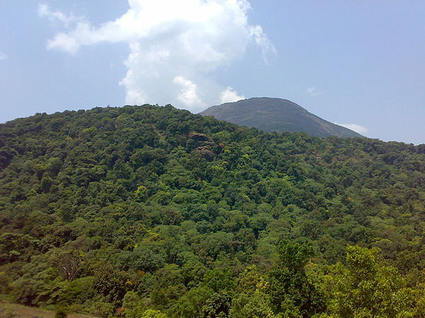 Pushpagiri 