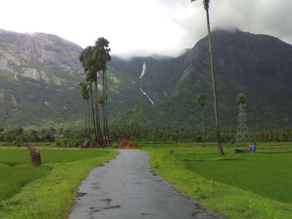 A road passing through the fields