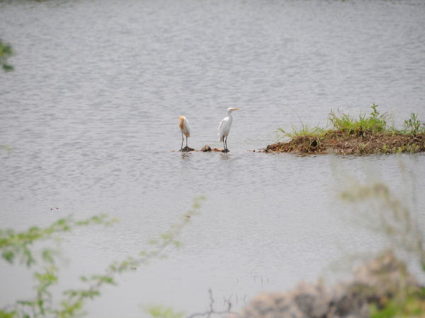 Gulf of Mannar Marine Park