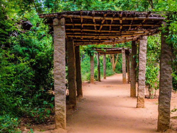 Entering Auroville