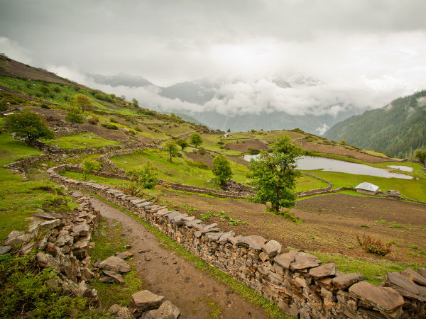 Meadows in Sangla Valley