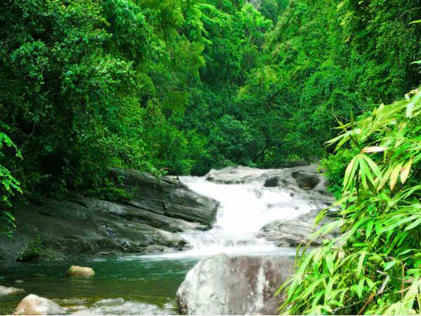 Amazing Meenmutty Falls