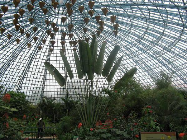 Butterfly park Bannerghatta Butterfly park Bannerghatta