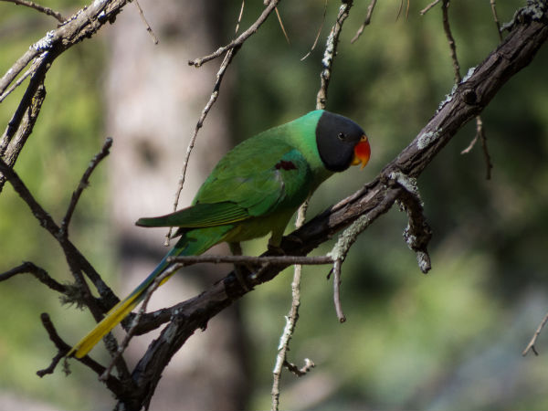 Best Places to Travel in India Within 10k!