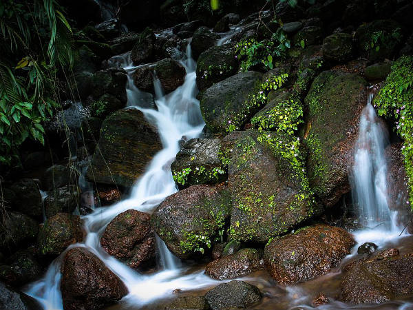 Trekking Places in the Western Ghats