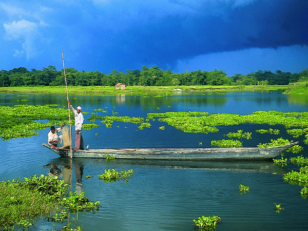 Majuli