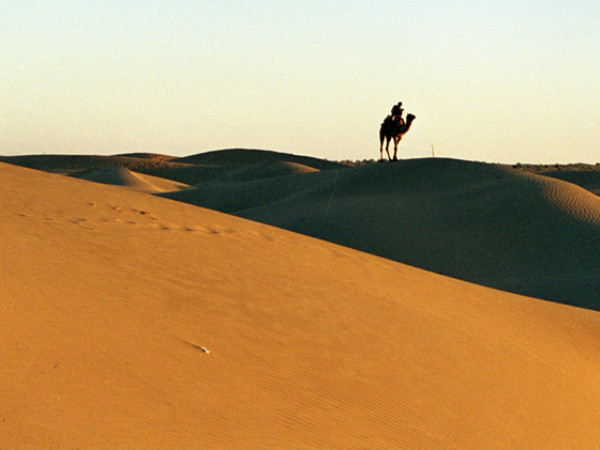  Reasons to Visit Jaisalmer