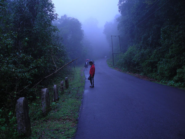 Spellbinding Facts About Jog Falls