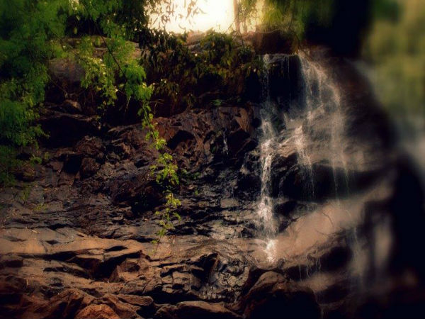 Sirimane falls - Sringeri