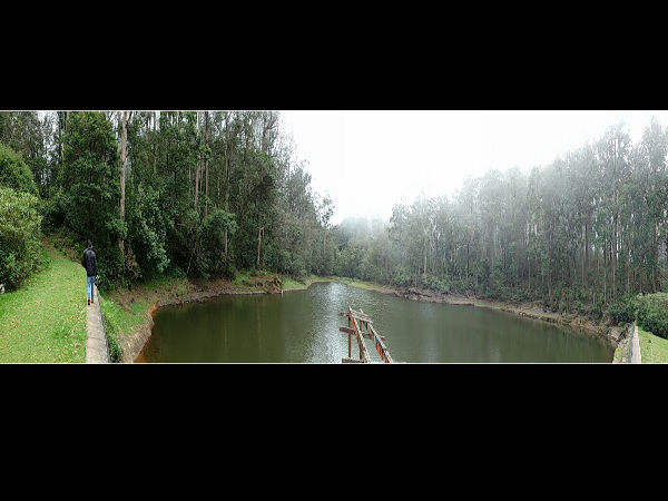 Tiger Hills Tiger Hills