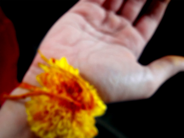 Bheemana Amavasya in Karnataka