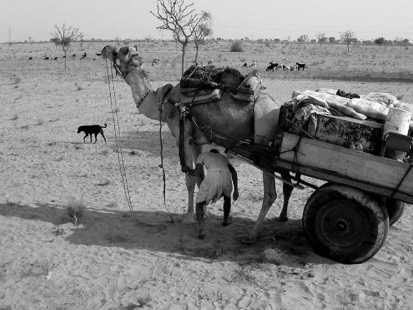 Desert Triangle Tour in India!