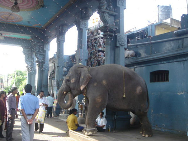 Entrance of the temple