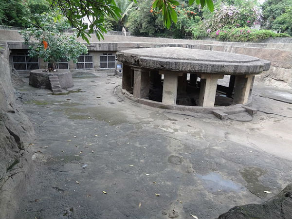 Pataleshwar Caves in Pune