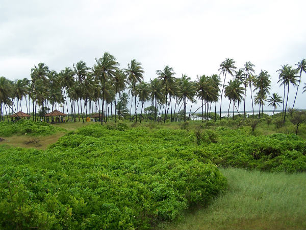 Facts about St.Marys Islands Facts about St.Marys Islands