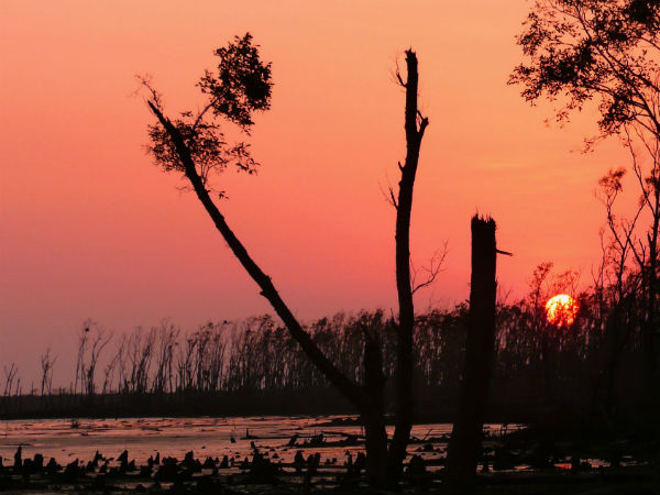 Seven Wonder Places Of India - Sundarbans mangroves in West Bengal Seven Wonder Places Of India - Sundarbans mangroves in West Bengal