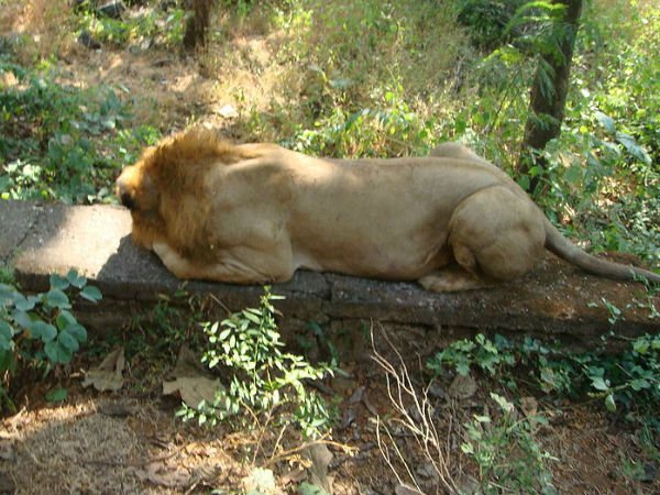 Urban Parks In India