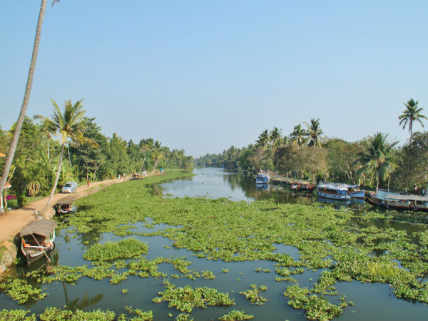 Kerala Trip Plan For 3 Days