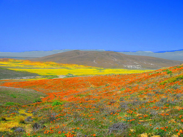 Places in India that look similar to Europe