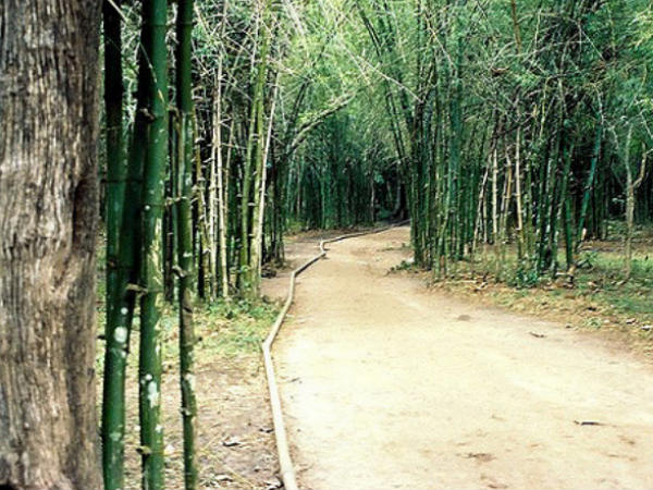 Nisargadhama Nisargadhama