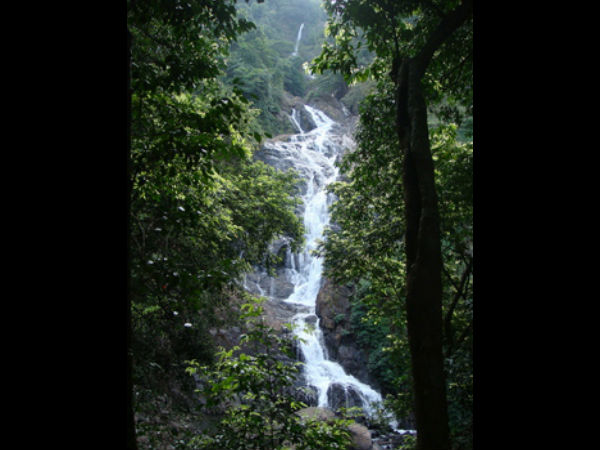  Mollem National Park