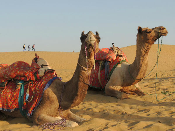 7 Travel tips for Rajasthan