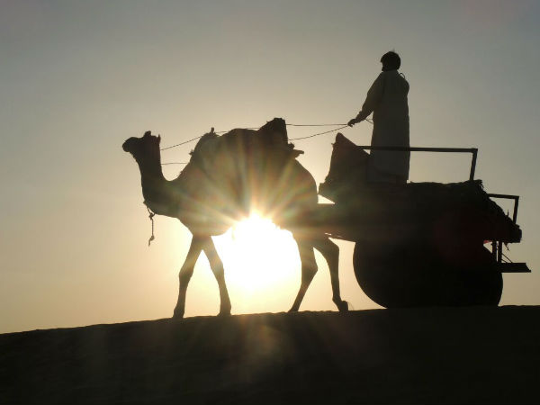 7 Travel tips for Rajasthan