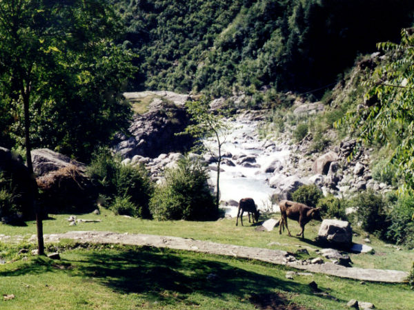 Top 7 Places To Visit In Manali