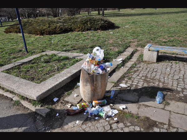 Things Not To Do at Parks 