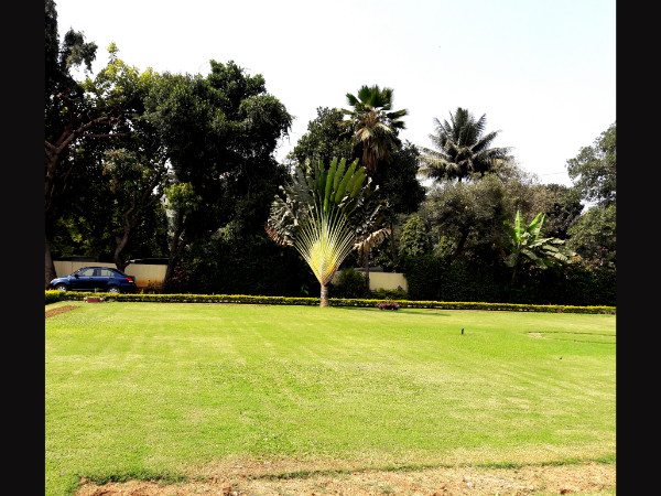 Things Not To Do at Parks 