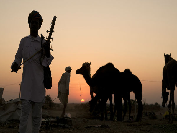 7 Interesting Facts about Pushkar Camel Fair